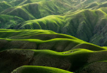 Interreligiöser Dialog und religionsübergreifendes Studium – Allgemeine Betrachtung – Eigene Erfahrungen