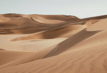 Kurzbiografie und Werdegang